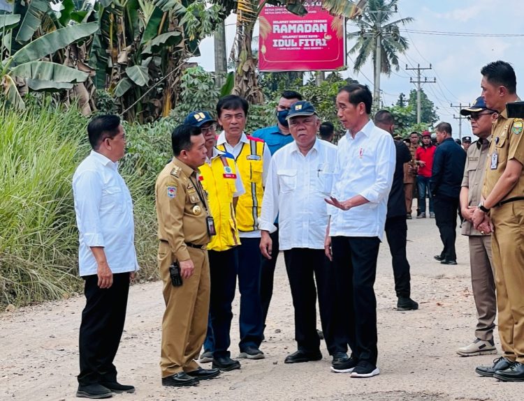 Presiden Jokowi Minjau Ruas Jalan di Wilayah Provinsi Jambi. (Foto : Dok. Diskominfo/Harun)