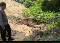 Mayat Korban saat akan Dievakuasi Polisi dan Warga. (Dok. Awan).