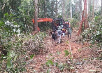 Kerusakan hutan akibat pembalakan liar di TN Bukit Tigapuluh Jambi. (Dok. Ist).