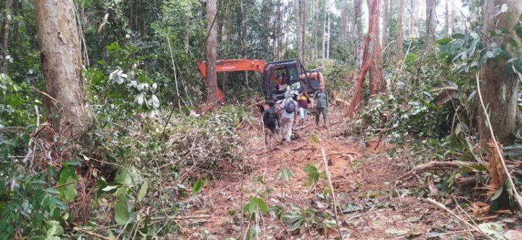 Kerusakan hutan akibat pembalakan liar di TN Bukit Tigapuluh Jambi. (Dok. Ist).