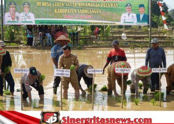Gubernur Al Haris: Menanam Padi Aksi Nyata Perkuat Ketahanan Pangan