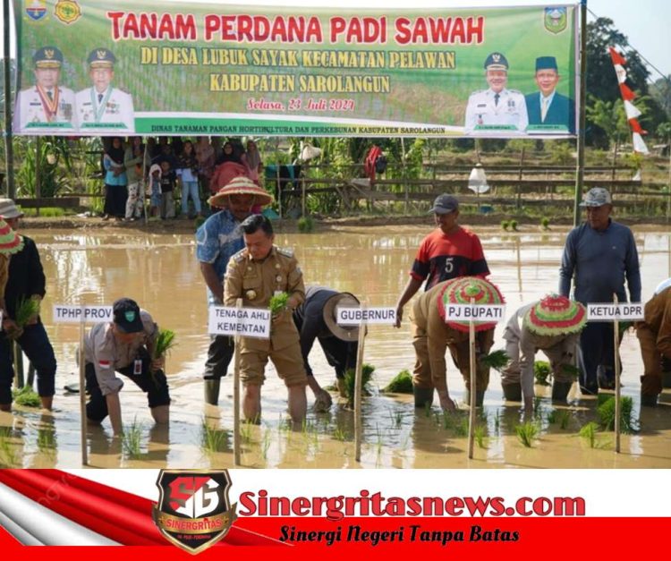 Gubernur Al Haris: Menanam Padi Aksi Nyata Perkuat Ketahanan Pangan