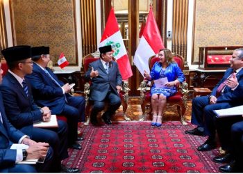 Presiden Prabowo Berbincang dengan Presiden Republik Peru, Dina Boluarte, (14/11). Dok/Ist