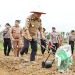 Gubernur Jambi, Dr. Al Haris Menanam Jangung di Wilayah Kota Jambi, Selasa (21/01). /Ist