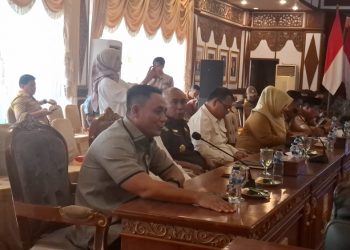 Wakil Ketua DPRD Jambi Kritik Pengurangan Kewenangan Daerah dalam Revisi UU Pemda